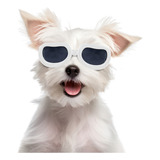 Gafas De Sol Para Perros Con Protección Uv Para Razas Pequeñ