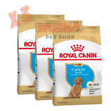 Royal Canin Caniche Poodle Junior 3 Kg X 3 Unidades Cachorro