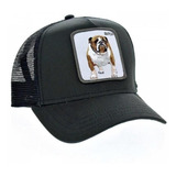 Gorra Goorin Bros Bulldog Ingles Butch Negra Original