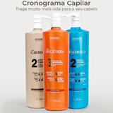 Kit Cronograma Capilar 1l Essendy Linha Profissional