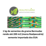 Sementes De Grama Bermudas ( Marca Realpecuária) 1 Kg -200m2