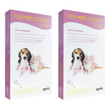 2un. Revolution 6% 15mg P/ Cães E Gatos 2,5kg - 0,25ml