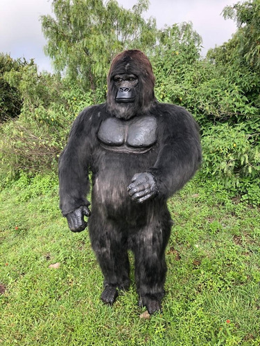 Animales Disecados 100% Artificiales Gorila (gorilla)