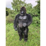 Animales Disecados 100% Artificiales Gorila (gorilla)