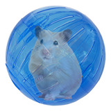Brinquedo Para Hamster Roedores Bola Acrílica Savana 11,5cm