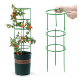 Soporte Plantas Enrredaderas Soporte Para Materas Trepadoras