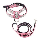 Perros Reino Completo Rhinestone Crystal Pet Arnes Del Perr