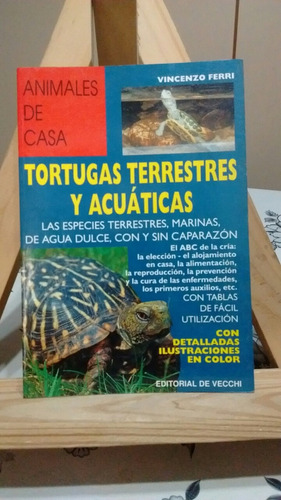 Tortugas Terrestres Y Acuáticas