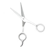 Tijera Profesional Plateada Para Corte De Pelo, 5.5 Pulgadas