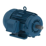 Motor Weg Trifasico  12860528  1 Hp   208-230/460v   1800rpm