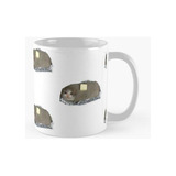 Taza Gato De Papa Al Horno Llorando Calidad Premium