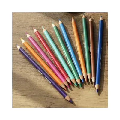 Lapices De Colores Borrables Shely 24 Pz 24 Colores | MercadoLibre