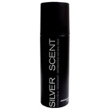 Body Spray Silver Scent 200ml - Masculino