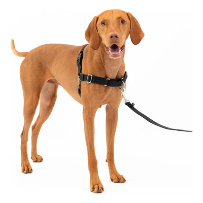 Arnés For Perros Petsafe Easy Walk No Pull, Tamaño Mediano,