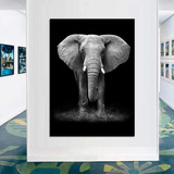 Cuadro Moderno Elefante -marco Y Vidrio-uhd 90x70cm