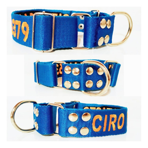 Collar De Identificación Bordado Martingale Perro Hasta 3cm 