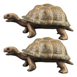 Maquetas De Tortuga Con Forma De Tortuga, Decoración De Tort