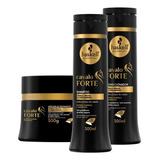 Kit Haskell Cavalo Forte 300ml Shampoo Cond + Mascara 