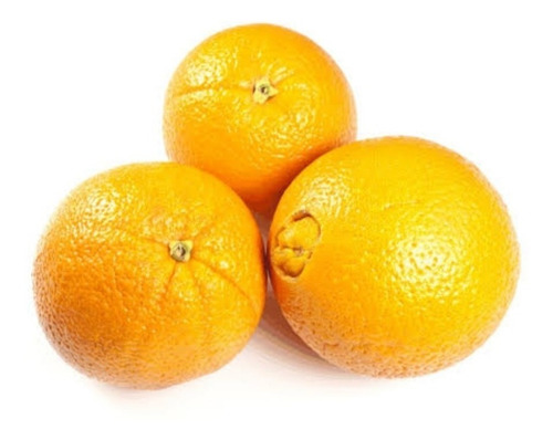 3  Mudas De Laranja Bahia Enxertada Produzindo 