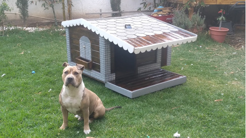 Súper Casa Para Perro 100% Madera!!!