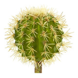 Cactus Artificiales Biznaga Suculenta Maceta Plastico Planta