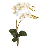 Orquidea X2 40cm Toque Real Branco - Bela Flor