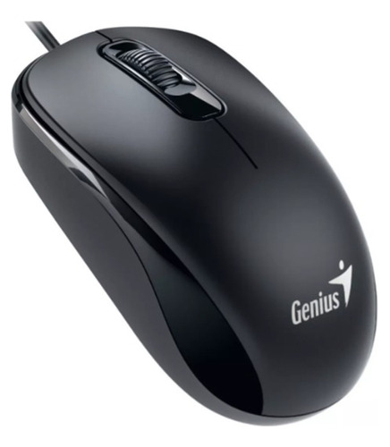 Mouse Óptico Genius Dx-110 Negro Ps2