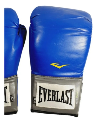 Everlast Boxing Pro Style Training Gloves 14oz