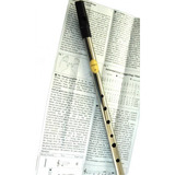 Feadog  flauta Tin Tin Whistle (nickle Clave De  D