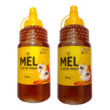 Mel Flor De Minas Bisnaga 500g Silvestre Natural Kit C/2