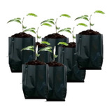 Bolsas Para Plantas 35x35 Cm. Pack Por 100 Unid.