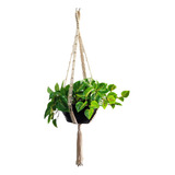 Suporte Decorativo Macrame Para Plantas Vasos - Corrente-g