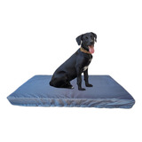 Cama Colchoneta Para Perros Lola Pets Antidesgarro 75x50 Cm