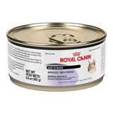 12 Latas Royal Canin Spayed Neutered Cats Loaf In Sauce 165g