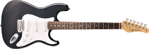 Guitarra Electrica Jay Turser Stratocaster Jt-300-bk Negra
