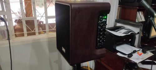 Cubo Laney A-fresco2 60w Voz E Violão 