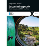 Un Camino Inesperado, De Diego Blanco