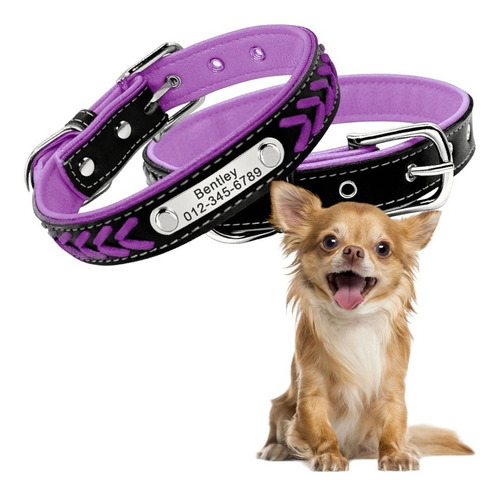 Collar De Cuero Para Perro Mascotas Con Placa Personalizable Color Morado Tejido Tamaño Del Collar Xs / Extra Chico