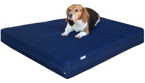 Dogbed4less, Cama Para Perro Grande, Ortopédica, Gel Inyecta