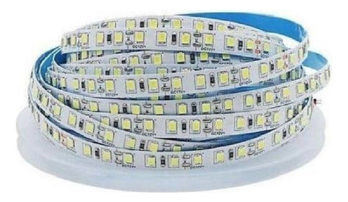 Fita Led 2835 6500k Frio 5mts 10w/m 120 Leds/m 12v Ip20