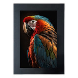 Cuadro De Colección Aves Hermosas Guacamaya Bandera # 8