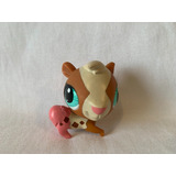 Castorzinho Napolitano Littlest Pet Shop