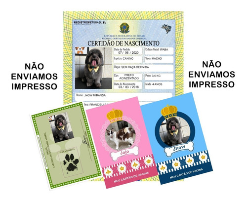 Rg + Cartão Vacina + Certidão De Cachorro Gato Pet - Digital
