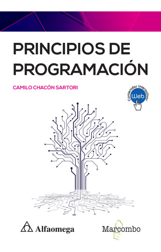 Libro Principios De Programación