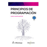 Libro Principios De Programación