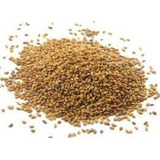 Todd's Seeds Semillas De Brote De Alfalfa, 2.5 Libras Semill