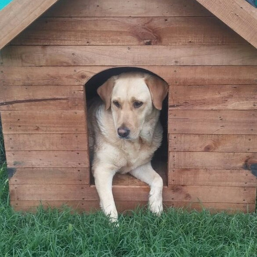 Cuchas Para Perros(pallets)  Aislante Térmico