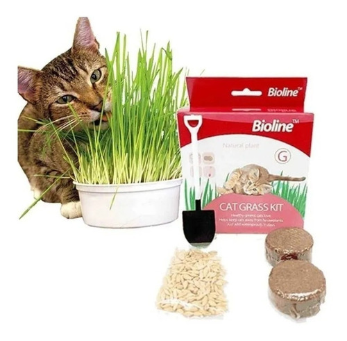 Juguete Gato Cat Grass Hierba Gatera Catnip Pasto Bioline Ki