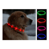 Collar Luces Luz Led Luminoso Para Gatos Y Perros