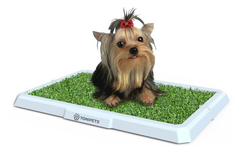 Bandeja Sanitaria Perros Hembra Mini Tonipets 48x33